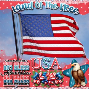 Land of the Free