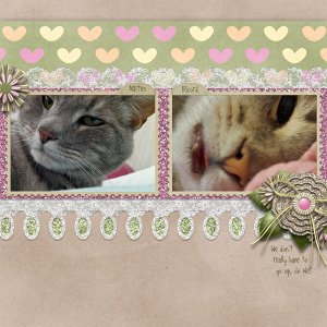 Sleepyheads