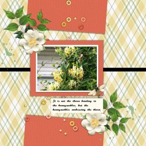 July 2024 Template #3 Challenge