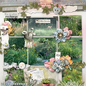 My Perennial Garden in 2024
