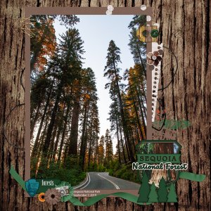 Sequoia National Park
