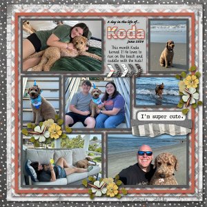 2024 July Daily Download Challenge