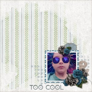 Too Cool