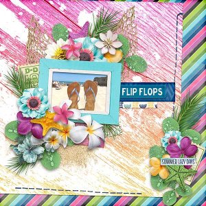 Flip Flops