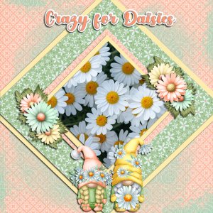 I Love Daisies and Gnomes
