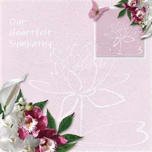 velum paper