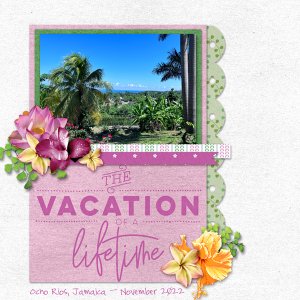 Vacation of a Lifetime