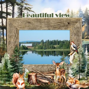 Beautiful-view