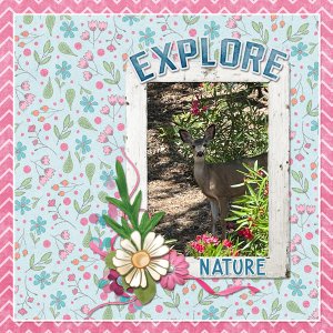 Explore Nature