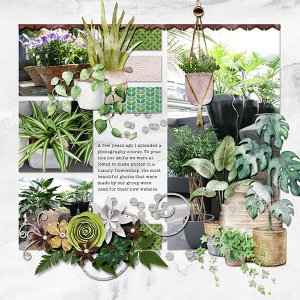 Flower shop