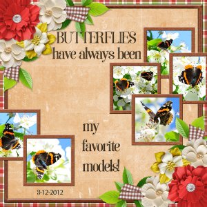 Butterflies have always been my favorite models!