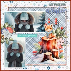 not-made-for-winter-SCR-Fre