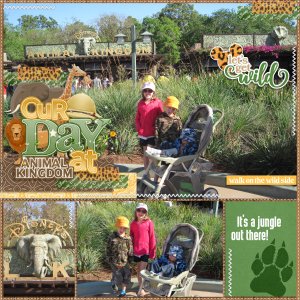 Our Day At Animal Kingdom