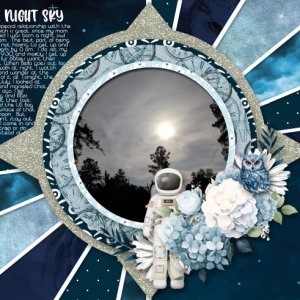 The Night Sky
