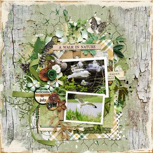 A Walk In Nature