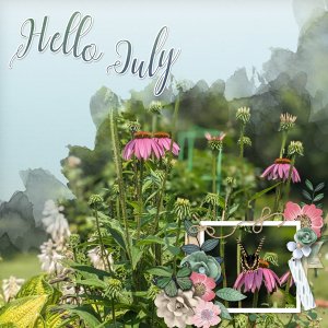 July flowers