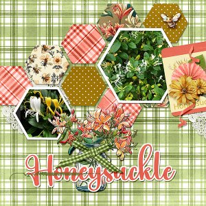 Honeysuckle