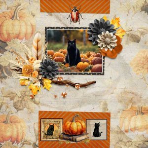 dark-autumn-wetfish-desgins