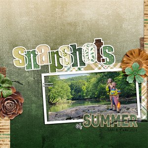 Snapshots
