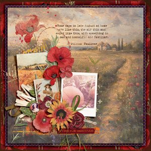 Poppies