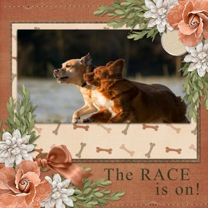 The RACE is on!