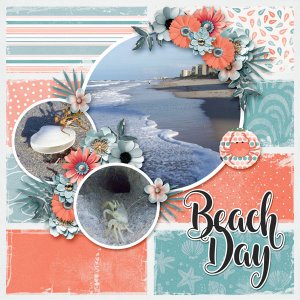 Beach Day
