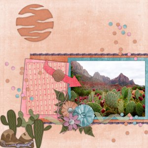 Desert Beauty