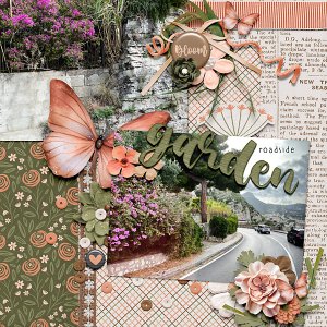 Roadside Garden