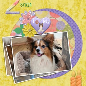 2 Today 8/1/24