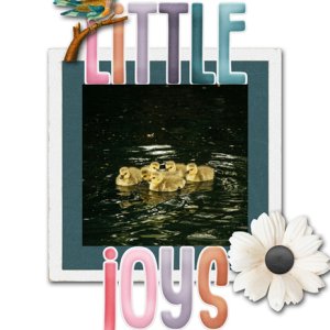 Little Joys