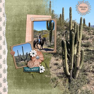 Arizona