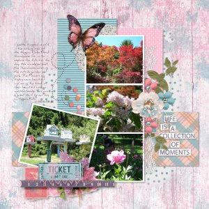 Aug24 Colour