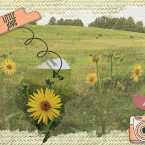 2024-08-wordart challenge