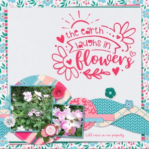 The Earth Laughs