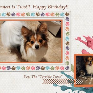 Bennett is Two