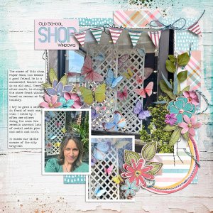 Shop Windows