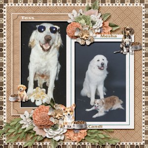 dogs_small