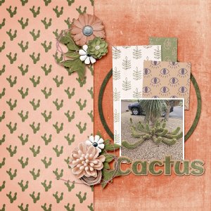 Cactus