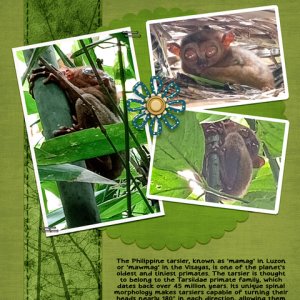600-lisaminor-forest-pals-marlyn-011