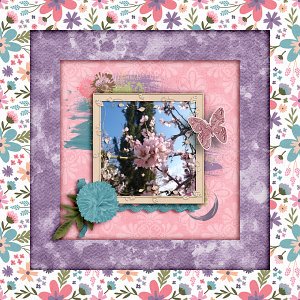 Almond tree blossoms