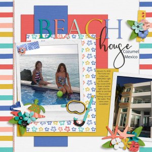 Beach House