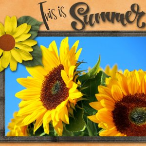 This is Summer