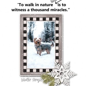 Winter Magic
