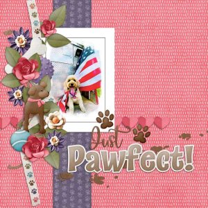 Just Pawfect