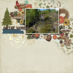 In the woods