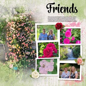 Friends