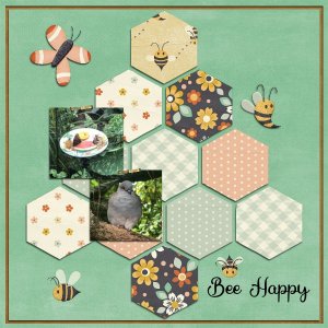 Designer Spotlight August