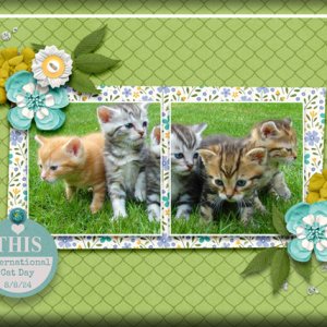 ATC 2024-028 International Cat Day