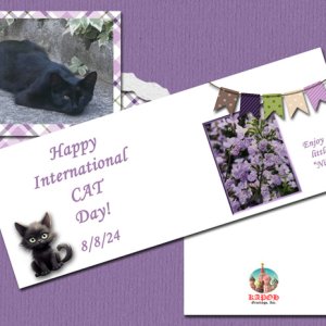 International CAT Day