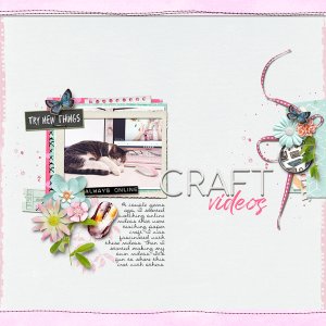Craft Videos